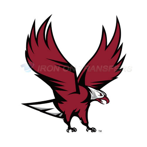 NCCU Eagles Logo T-shirts Iron On Transfers N5370